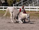 img 04568cd5f887 0eda 0b24 7abeefbf28a95dd