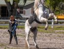 img 0459b6415bc6 175a d74d a08ce88bf93b79f